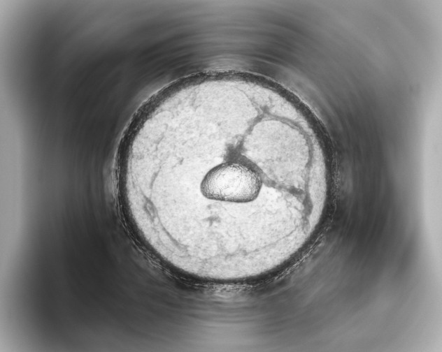 X0000093620832200710151259