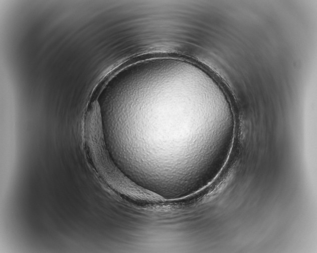 X0000093620834200710151259