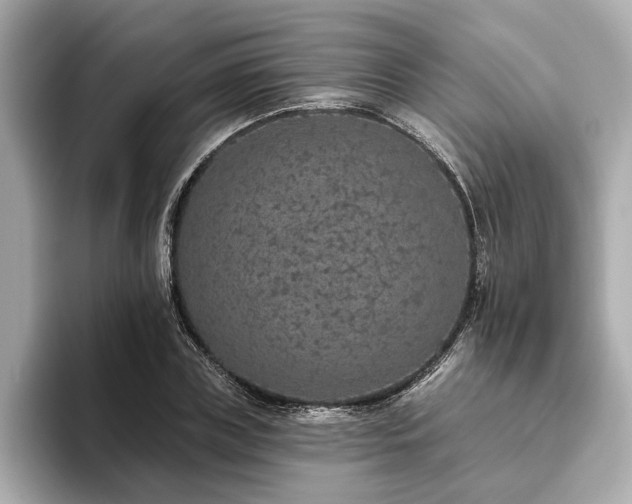 X0000093620835200710151259
