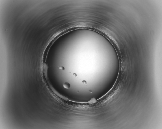 X0000093620837200710151259