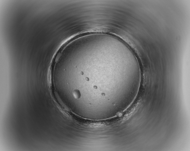 X0000093620838200710151259