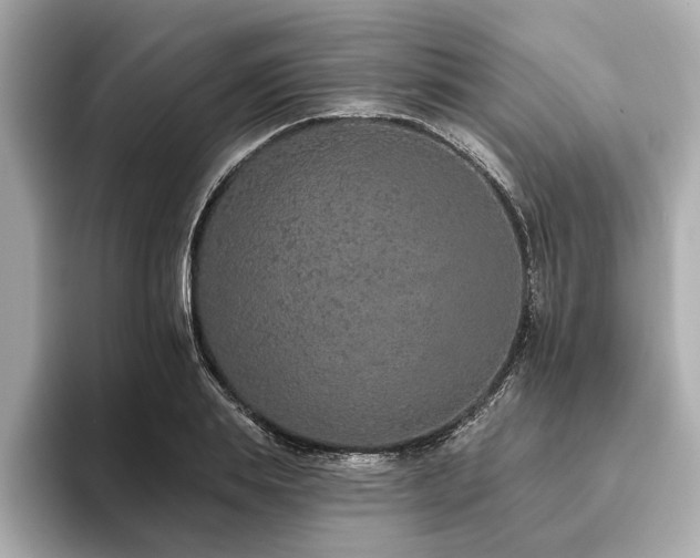 X0000093620839200710151259