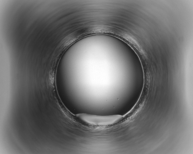 X0000093620841200710151259