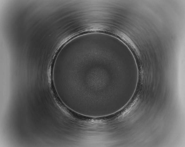 X0000093620842200710151259
