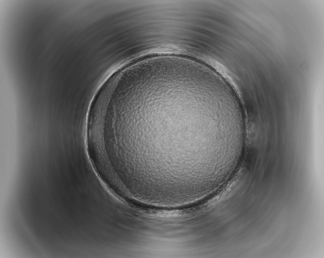 X0000093620845200710151259