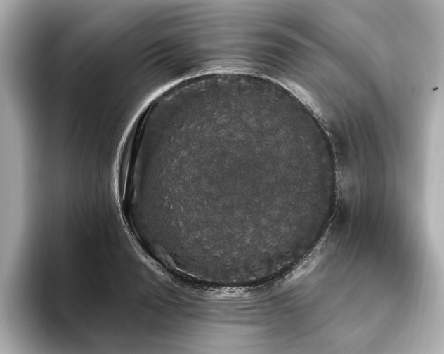 X0000093620846200710151259