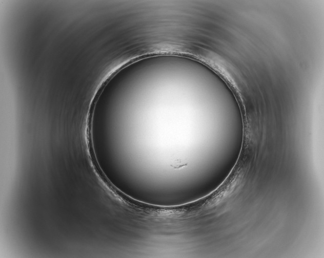 X0000093620847200710151259