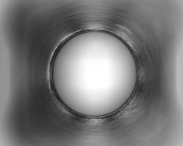 X0000093620848200710151259