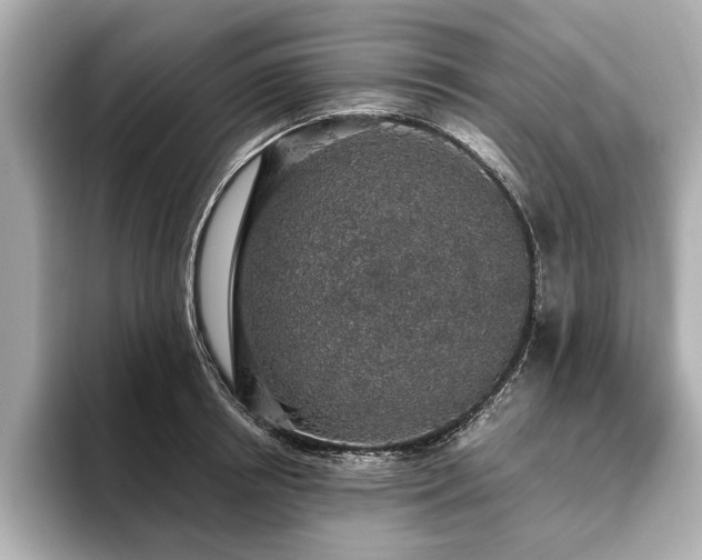 X0000093620850200710151259