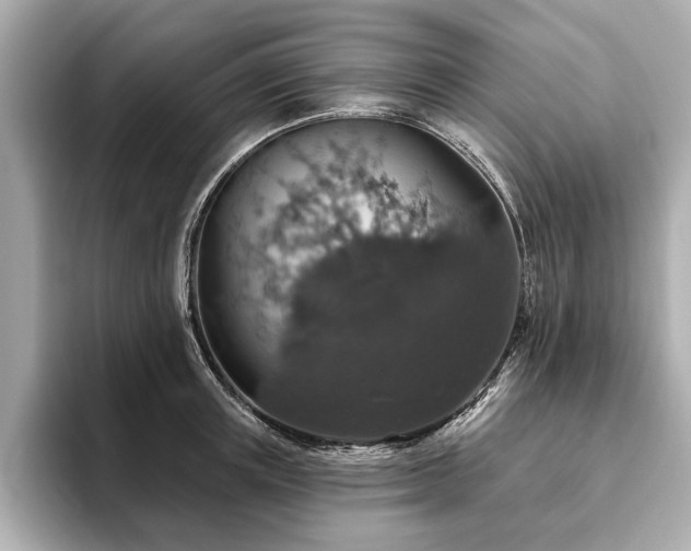 X0000093620851200710151259