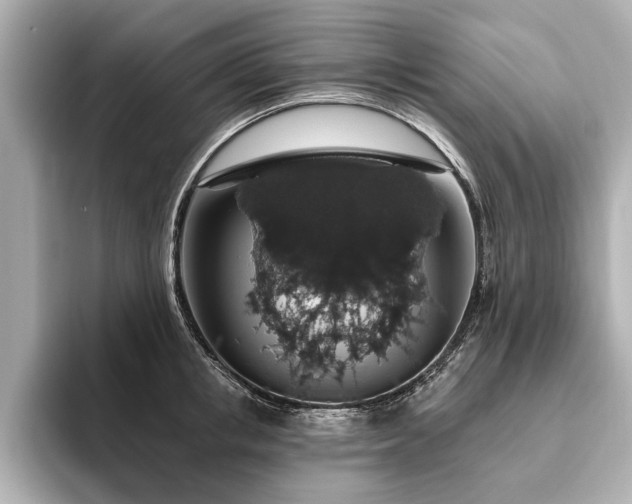 X0000093620853200710151259