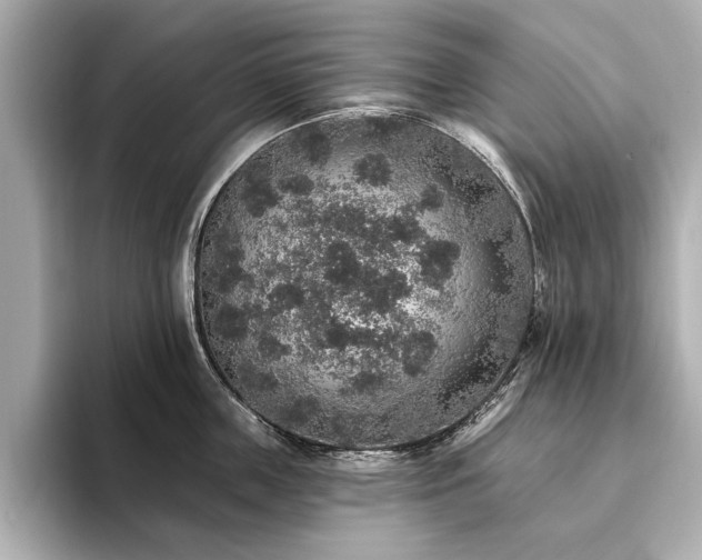 X0000093620859200710151259