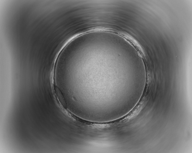 X0000093620860200710151259