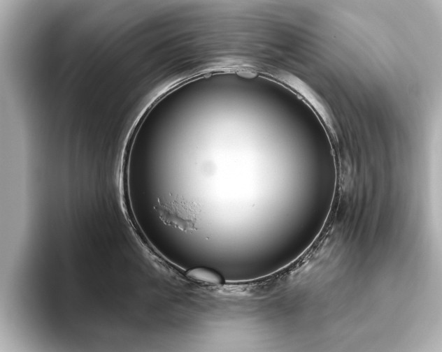 X0000093620861200710151259