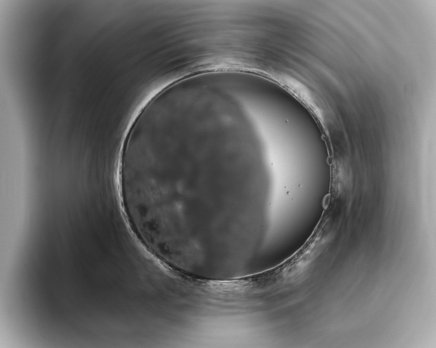 X0000093620863200710151259