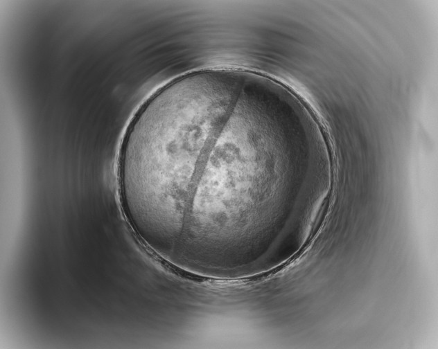 X0000093620864200710151259