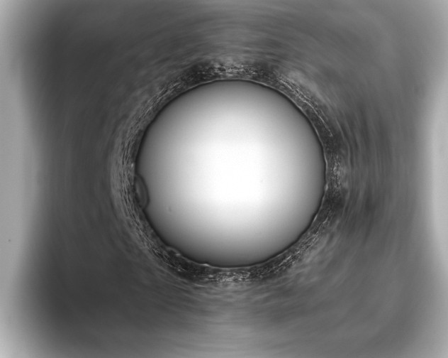 X0000093620865200710151259