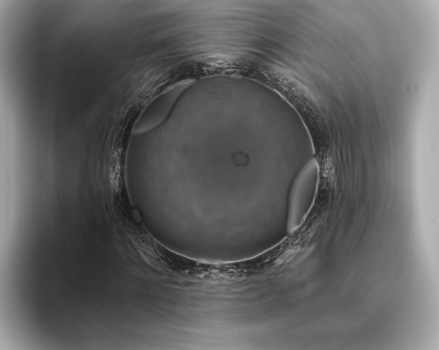 X0000093620868200710151259