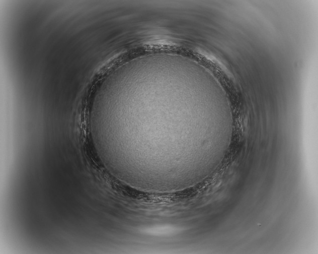 X0000093620870200710151259