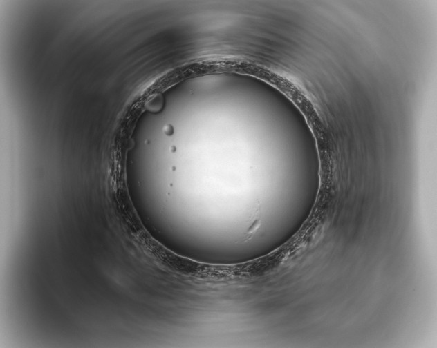 X0000093620871200710151259