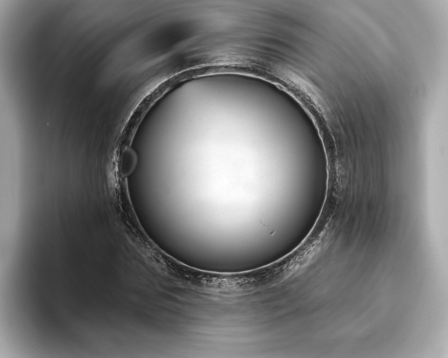 X0000093620875200710151259