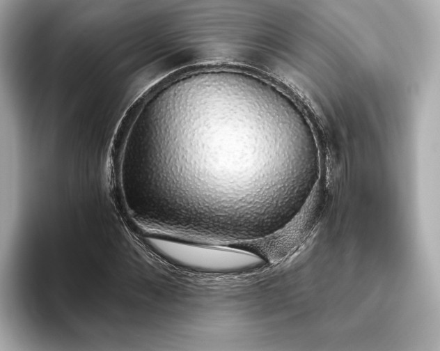 X0000093620876200710151259