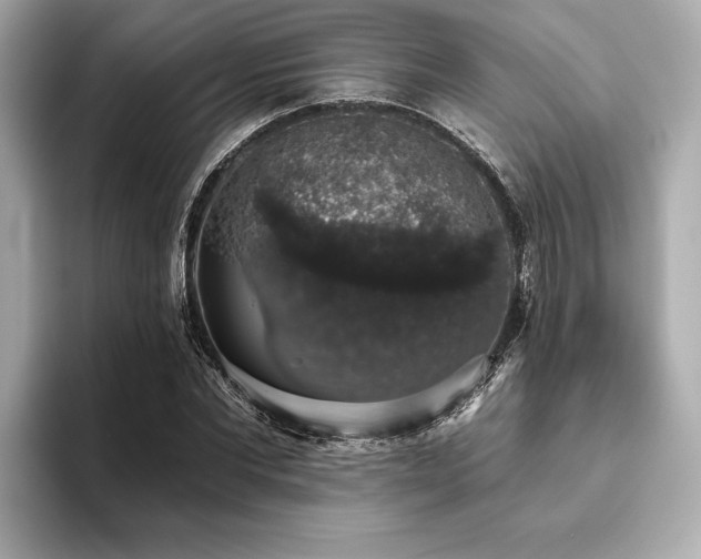 X0000093620877200710151259