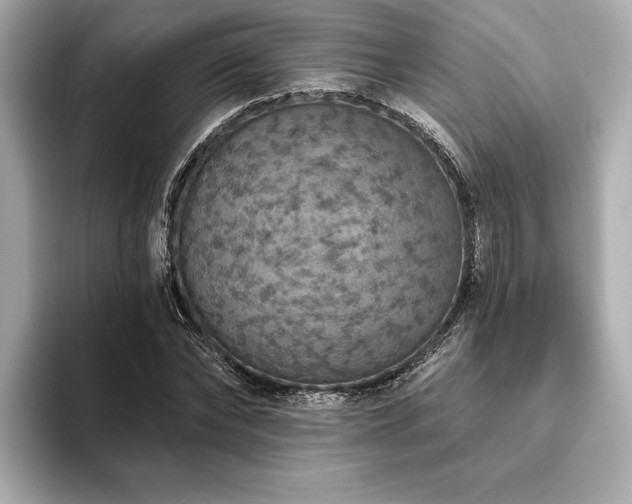 X0000093620878200710151259