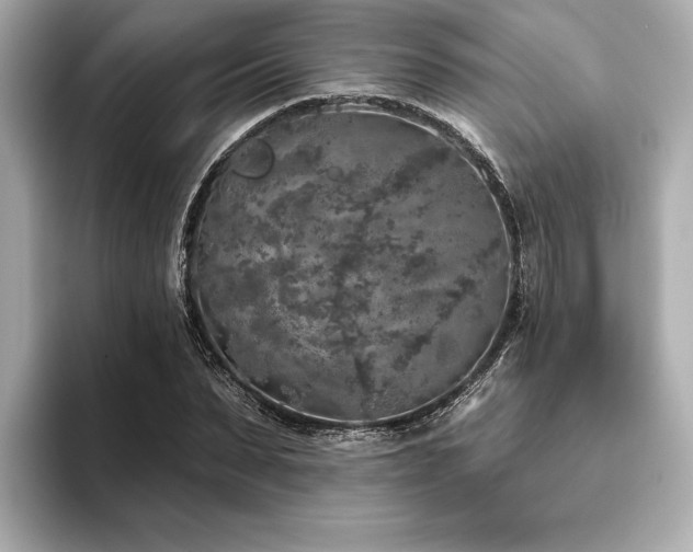 X0000093620879200710151259