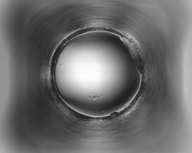 X0000093620880200710151259