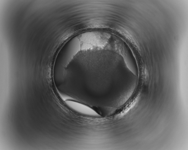 X0000093620881200710151259