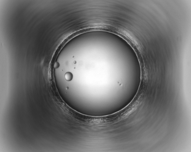 X0000093620883200710151259