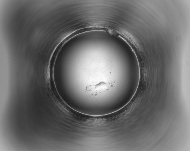 X0000093620884200710151259