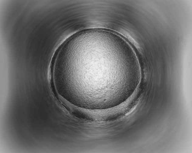X0000093620885200710151259