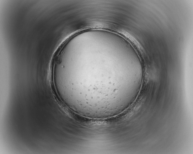 X0000093620886200710151259