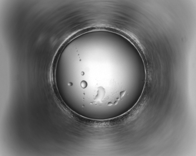 X0000093620887200710151259