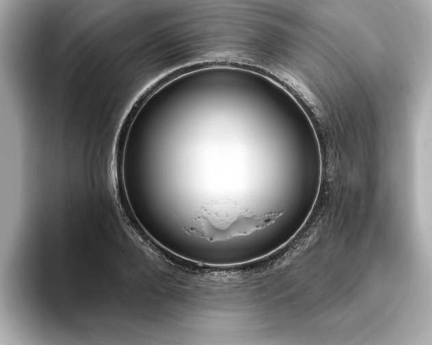 X0000093620888200710151259