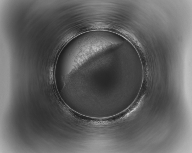 X0000093620889200710151259