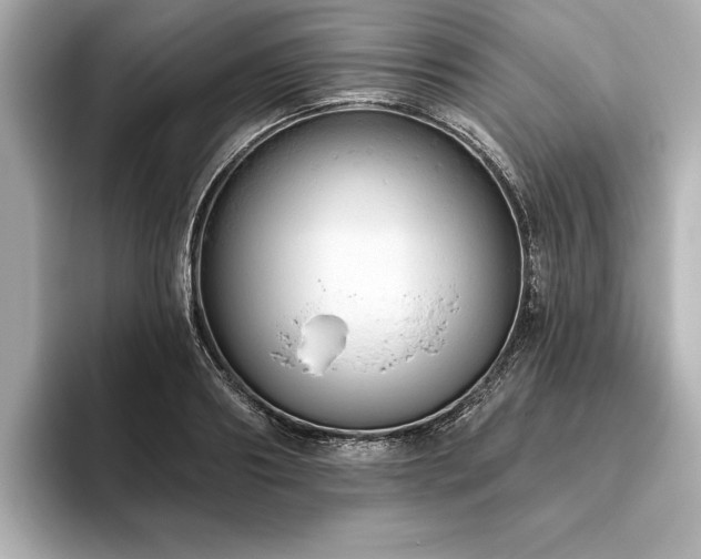 X0000093620890200710151259