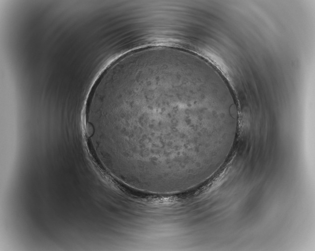 X0000093620891200710151259