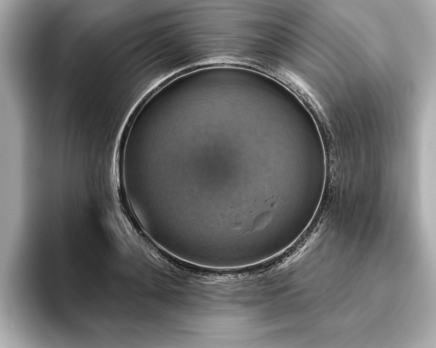 X0000093620892200710151259