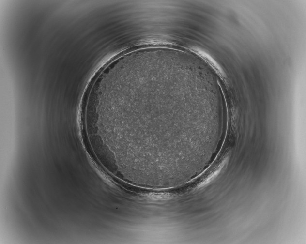 X0000093620893200710151259