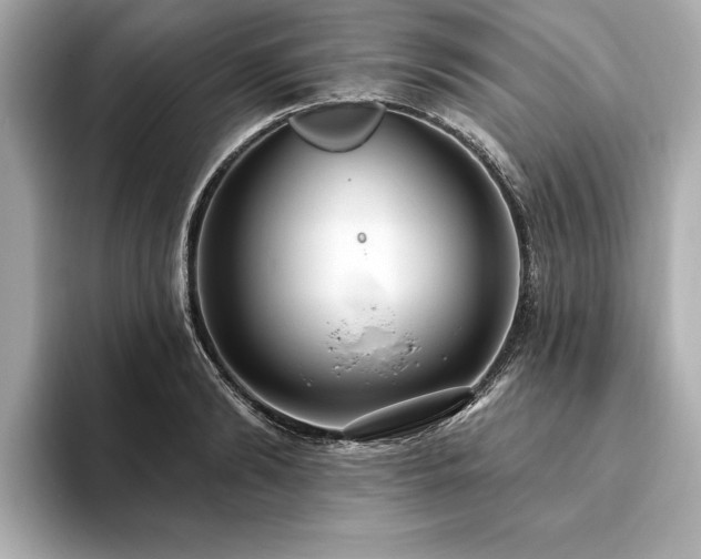 X0000093620894200710151258