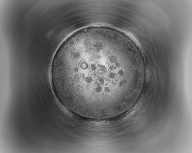 X0000093620895200710151258