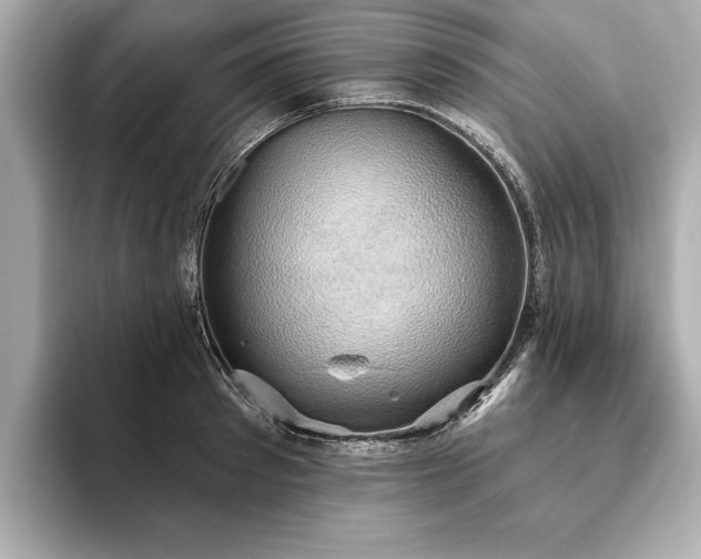 X0000093620897200710151258