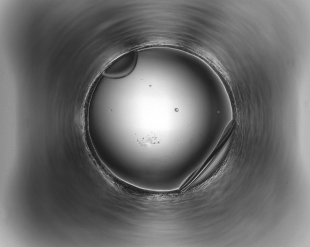 X0000093620898200710151258