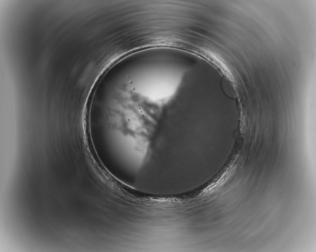 X0000093620899200710151258