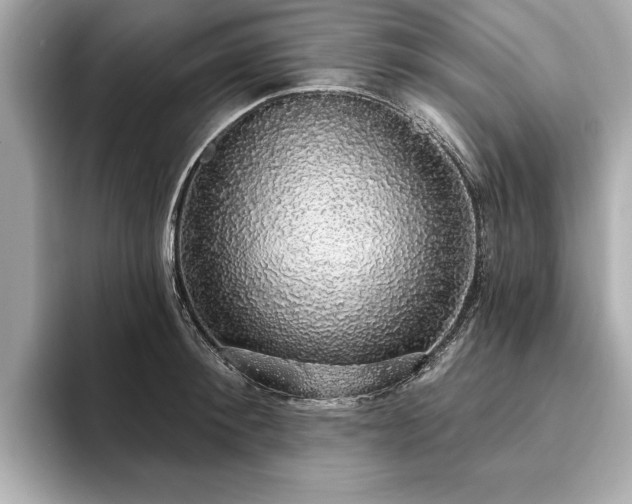 X0000093620900200710151258