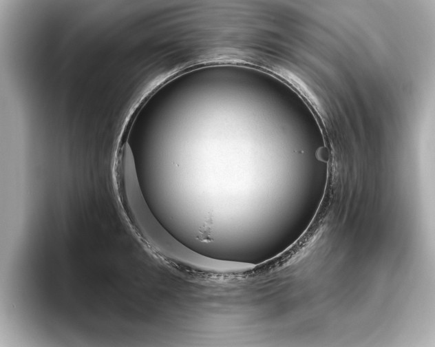 X0000093620901200710151258