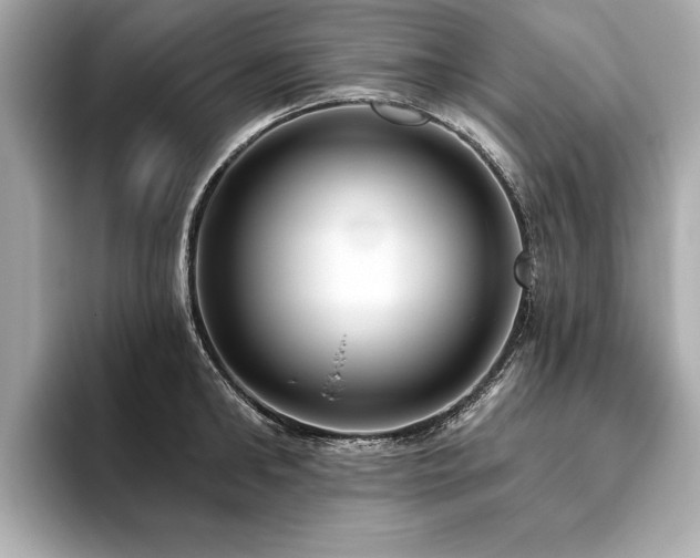 X0000093620902200710151258
